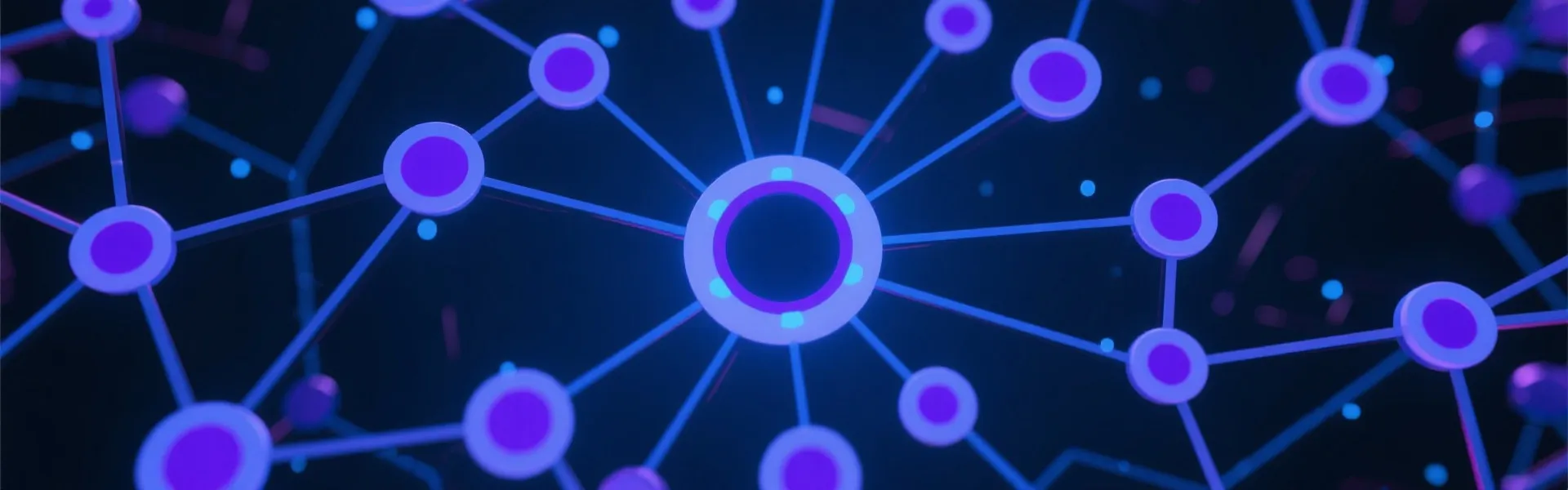 Network Connectivity